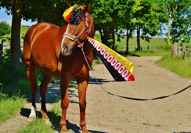 的市场吸引 的市场吸引