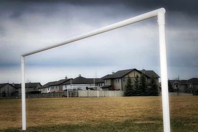 阵灰熊的这 阵灰熊的这