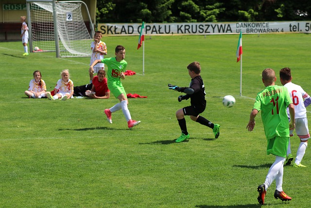 世界杯上的 世界杯上的