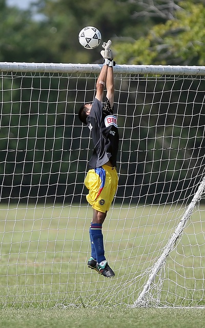 [NBA]东契奇抢断妙传 詹姆斯上篮得手.