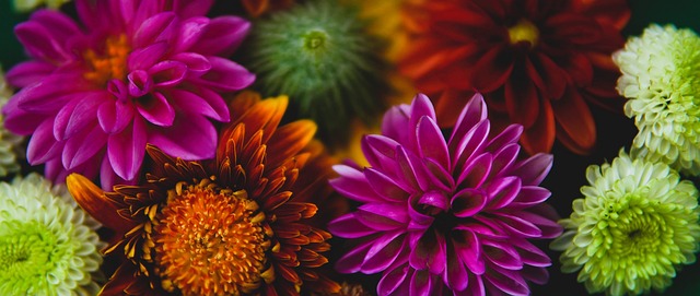 个赛季中 个赛季中