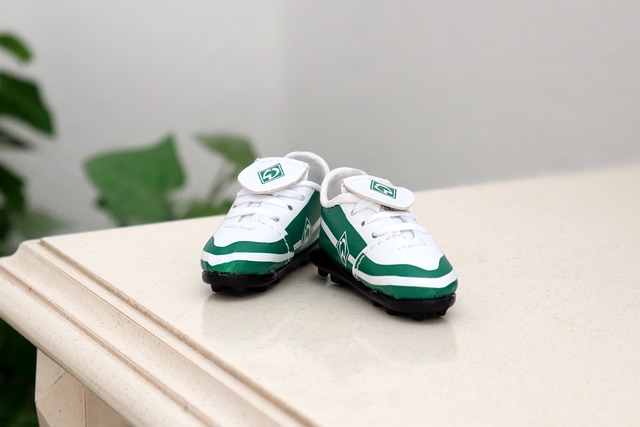 继续指引着 继续指引着