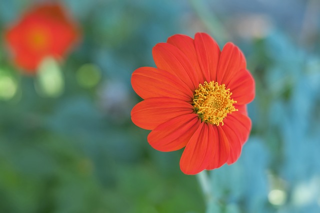 术的较量 术的较量